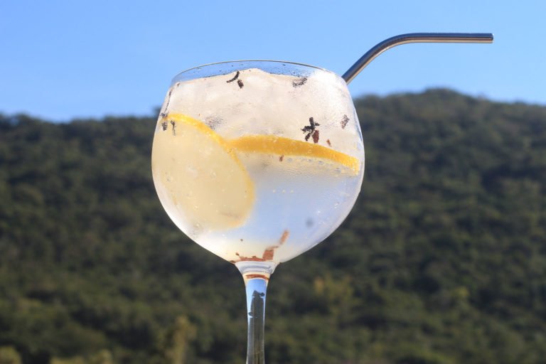🍹 Gin Tônica Perfeito A Melhor Receita desse Drink Perfeito