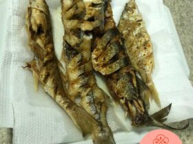 peixe-frito