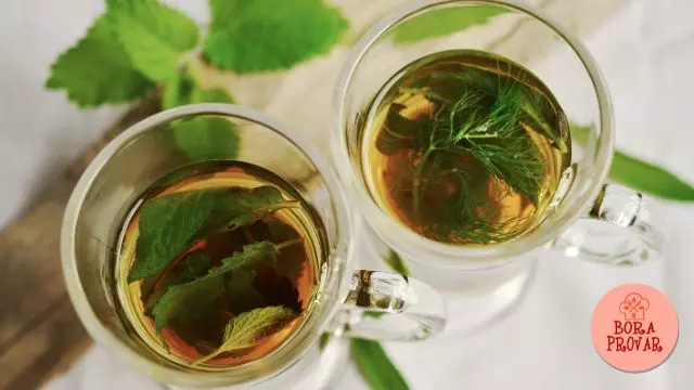chá de hortelã benefícios