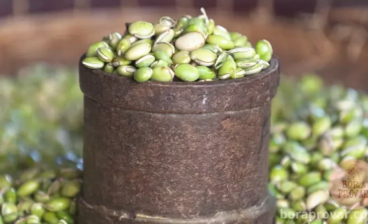 Como Cozinhar Feijão Verde sem erro