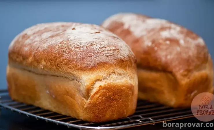 Receita de Pão Caseiro de Liquidificador