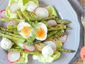 Salada de Aspargos, rabanete, alface americana e ovos cozidos
