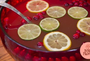 Ponche de Frutas sem álcool