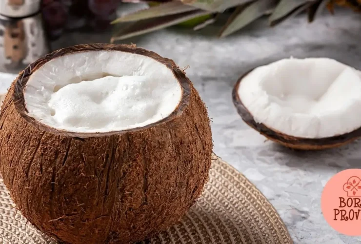 Cairipirinha de Leite de Coco