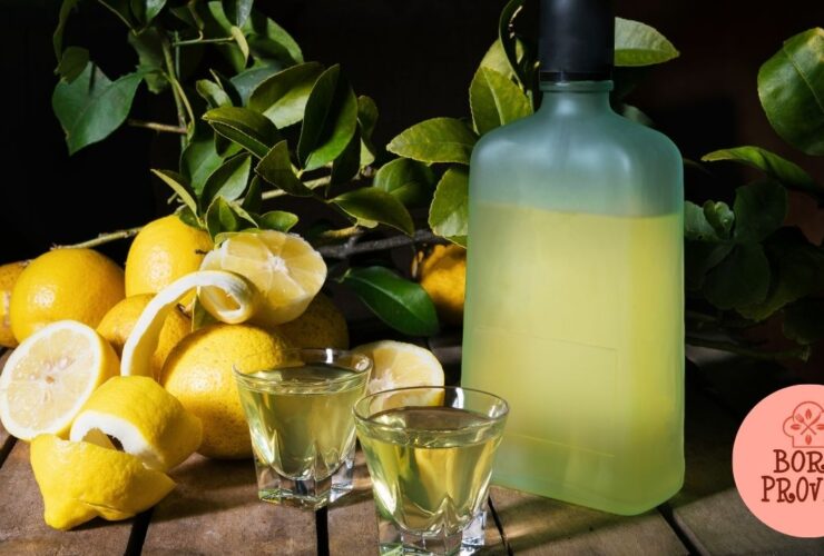 Limoncello Caseiro