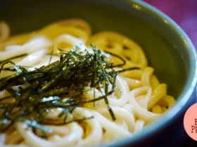 Macarrão de Udon