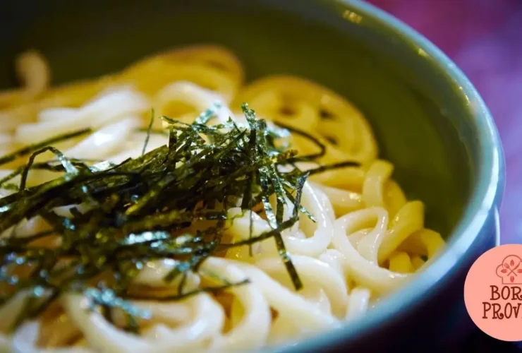 Macarrão de Udon