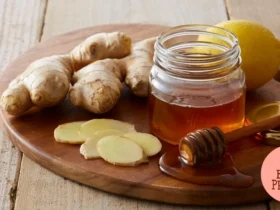Mel Picante Fermentado - Hot Honey