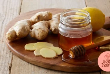 Mel Picante Fermentado - Hot Honey