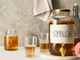 alimentos fermentados