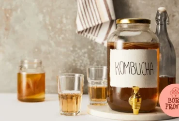 alimentos fermentados