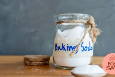 A química do Bicarbonato de Sódio