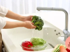Cozinha Neurocientífica