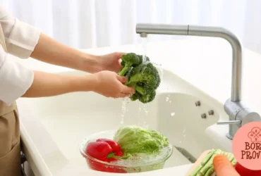 Cozinha Neurocientífica