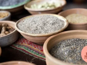 Gastronomia Andina