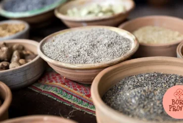 Gastronomia Andina
