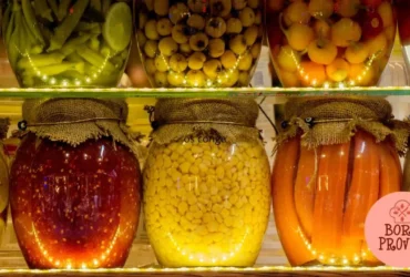 Conservas Rápidas à Vácuo