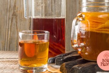 Fermentação de Jun